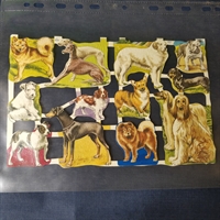 1 ark med forskellige racehunde, gamle glansbilleder.